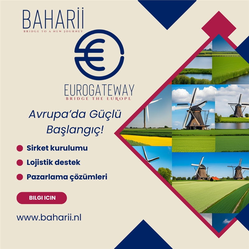 Türk Vatandaşları Hollanda’da Hangi Tür Şirketler Kurabilir?